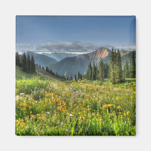 花 |ワイルドフラワーズシルバートンコロラド マグネット (正面)