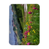 花 |ワイルドフラワーズドゥランゴ(コロラド州) マグネット (縦)