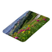 花 |ワイルドフラワーズドゥランゴ(コロラド州) マグネット (左側)