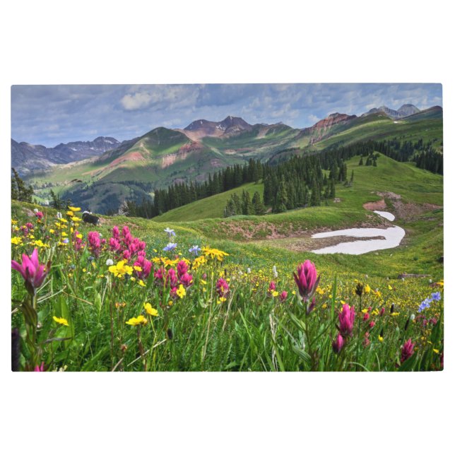 花 |ワイルドフラワーズドゥランゴ（コロラド州） メタルプリント (正面)