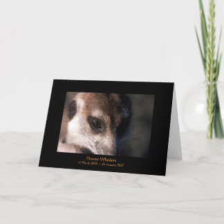 花-伝説カード カード