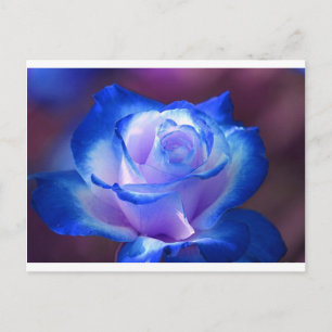 花 咲く 蔓 薔薇の花びら 花 青い 愛 ポストカード