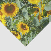 花，太陽，植物，自然，夏，フローラ 薄葉紙 (詳細)