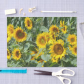 花，太陽，植物，自然，夏，フローラ 薄葉紙 (クラフト)