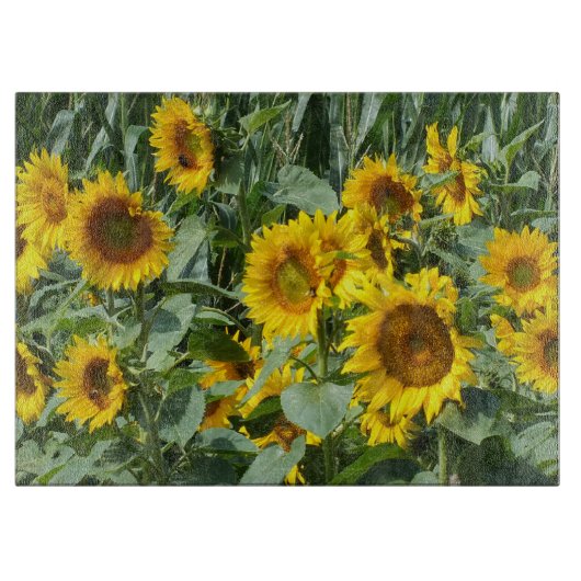 花, 太陽, 植物, 自然, 夏, 花柄の, カッティングボード (正面)