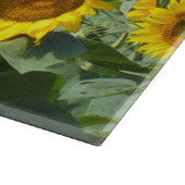 花, 太陽, 植物, 自然, 夏, 花柄の, カッティングボード (角)