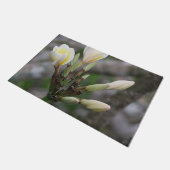 花, 庭園, 夏, 自然, ブーゲンビリア, ドアマット (アングル)