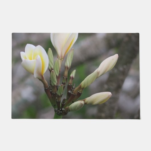 花、庭、夏、自然、ブーゲンビリア ドアマット (正面)