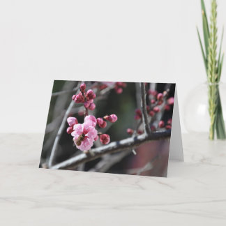 花-挨拶状の蜂 カード