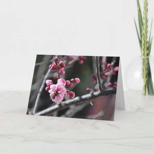 花-挨拶状の蜂 カード (正面)