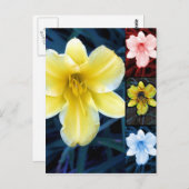 花 – 数々のフローラはがき ポストカード (正面/裏面)