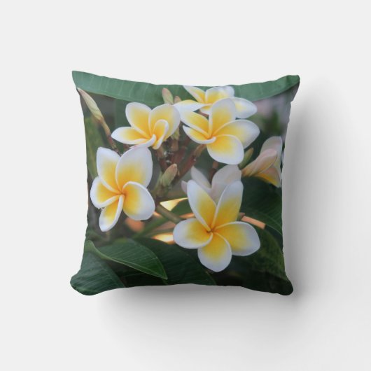 花，日本語，アジア語，中国のファッション，あいさつ文 クッション (正面)