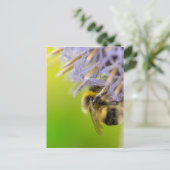 花（昆虫）マルハナバチ ポストカード (スタンド正面)