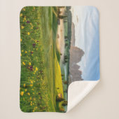 花 |春アルペディシウシランコフェル シェルパブランケット (正面)