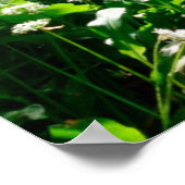 花 |森の白い野草 ポスター (角)