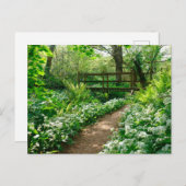 花 |森の白い野草 ポストカード (正面/裏面)