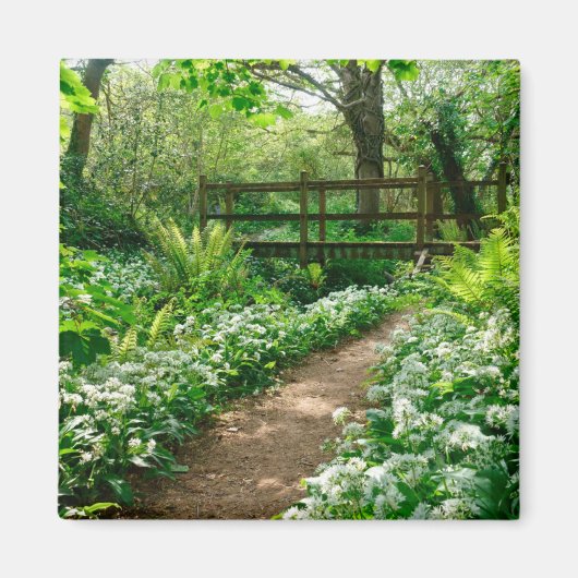 花 |森の白い野草 マグネット (正面)