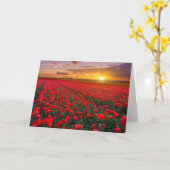 花 |植物園オランダ カード (黄色い花)