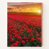 花 |植物園オランダ ノートブック (裏面)