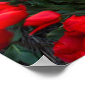 花 |植物園オランダ ポスター (角)