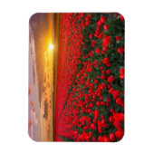 花 |植物園オランダ マグネット (縦)