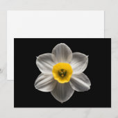 花 |水仙の花 サンキューカード (正面/裏面)