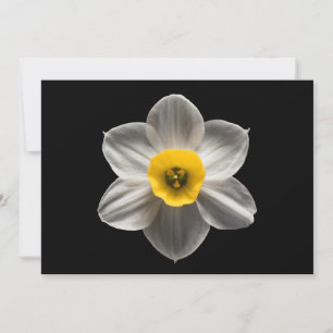 花 水仙の花 サンキューカード