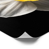 花 |水仙の花 ポスター (角)