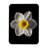 花 |水仙の花 マグネット (縦)