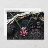 花、溶岩、月のクレーターと野生のタマネギ ポストカード (正面/裏面)