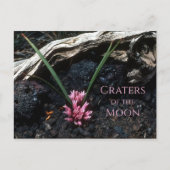 花、溶岩、月のクレーターと野生のタマネギ ポストカード (正面)