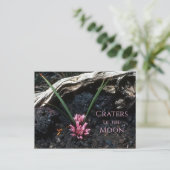 花、溶岩、月のクレーターと野生のタマネギ ポストカード (スタンド正面)