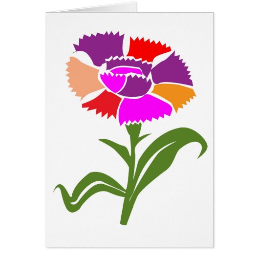 花: 珍しい色彩の配合 (正面)