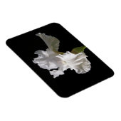 花 |白いアイリス マグネット (右側)