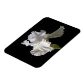 花 |白いアイリス マグネット (左側)