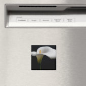 花 |白いカラリリー マグネット (インサイチュ (食洗機))