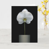 花 |白い蘭の花 カード (黄色い花)