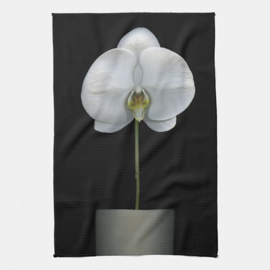 花 |白い蘭の花 キッチンタオル (縦)