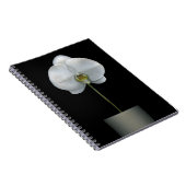 花 |白い蘭の花 ノートブック (右側)