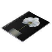 花 |白い蘭の花 ノートブック (左側)