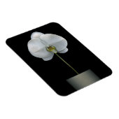 花 |白い蘭の花 マグネット (右側)