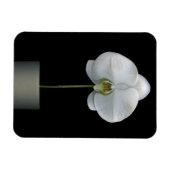 花 |白い蘭の花 マグネット (横)
