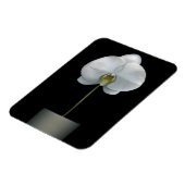 花 |白い蘭の花 マグネット (左側)