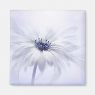 花 紫淡い色のの花 マグネット