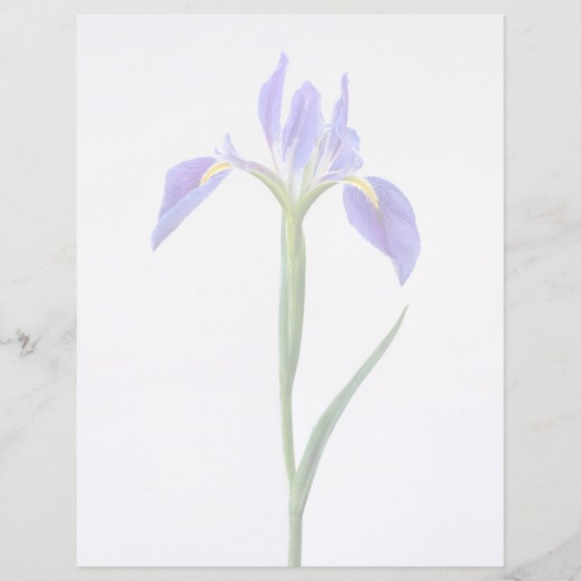花 |紫色の虹彩花 (正面)
