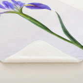 花 |紫色の虹彩花 シェルパブランケット (3/4)