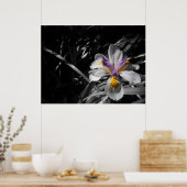 花 – 紫色の黄色（白） ポスター (キッチン)