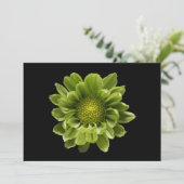 花 |緑の菊 サンキューカード (スタンド正面)