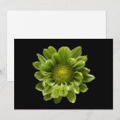 花 |緑の菊 サンキューカード (正面/裏面)