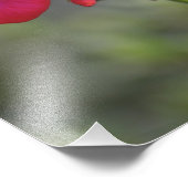 花、花 フォトプリント            (角)